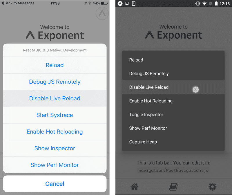 In-app developer menu